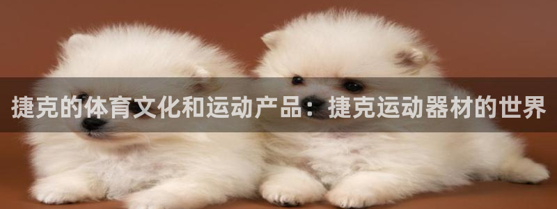 征途国际五金厂：捷克的体育文化和运动产品：捷克运动器