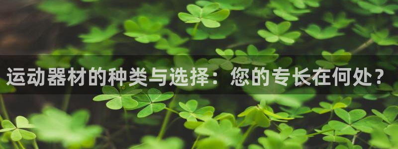 征途国际集团官网网址：运动器材的种类与选择：您的专长在何处？