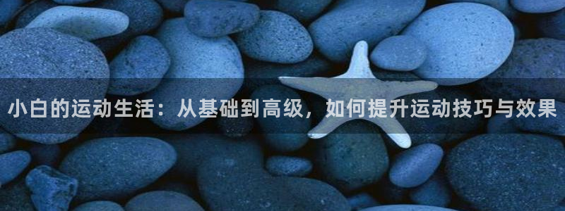 征途国际官网：小白的运动生活：从基础到高级，如何提升