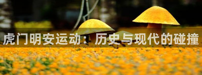 征途国际招商电话是多少啊：虎门明安运动：历史与现代的