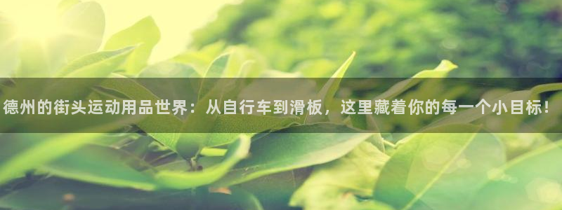 征途国际招商电话是多少：德州的街头运动用品世界：从自