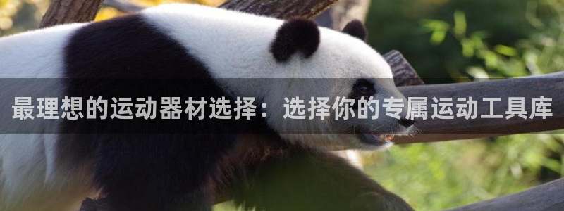 征途国际娱乐是那个系列的台子：最理想的运动器材选择：