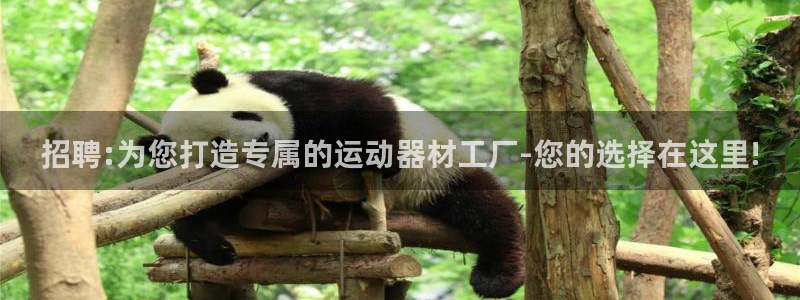 征途国际平台注册要钱吗：招聘:为您打造专属的运动器材工厂-您