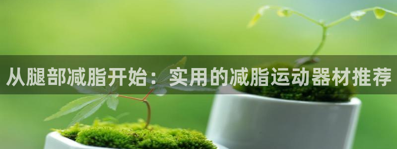 征途国际集团官网网址：从腿部减脂开始：实用的减脂运动器材推荐