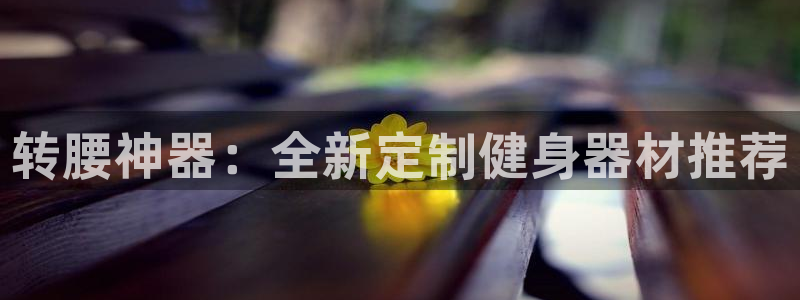 征途国际招商电话号码是多少号：转腰神器：全新定制健身器材推荐
