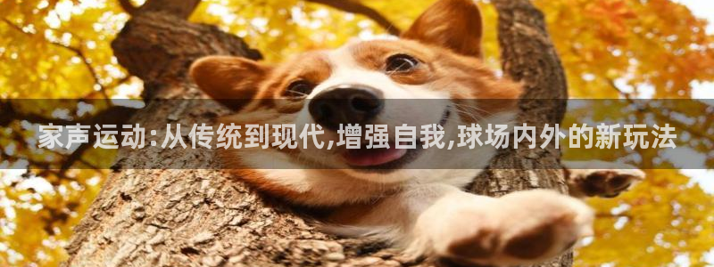 征途国际集团官网网址