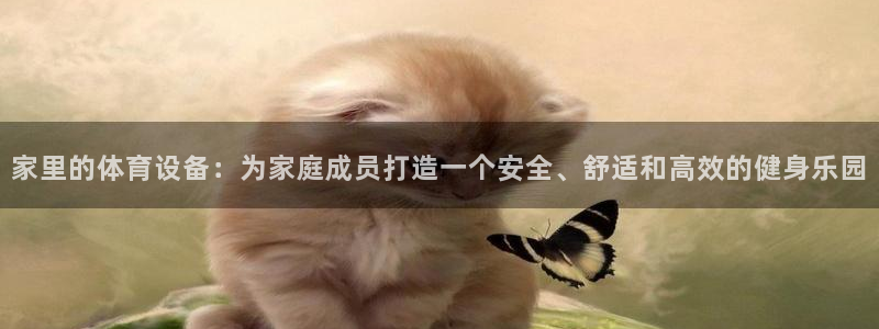 征途国际招商电话号码：家里的体育设备：为家庭成员打造一个安全