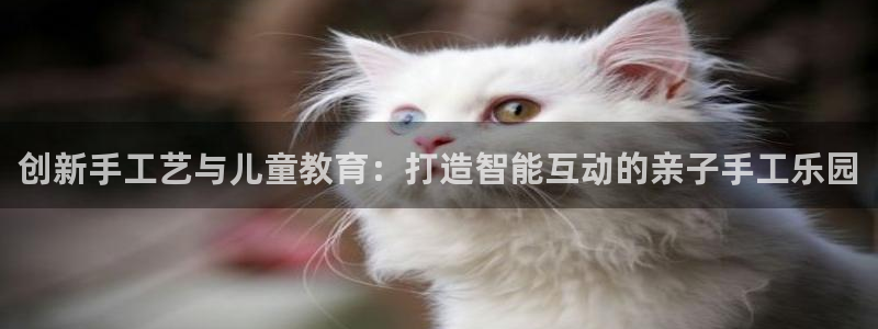 征途国际招商电话号码查询是多少