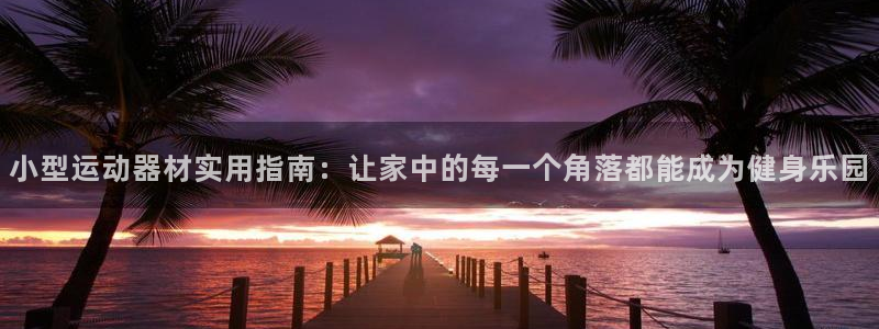 征途国际招商电话号码是多少啊：小型运动器材实用指南：