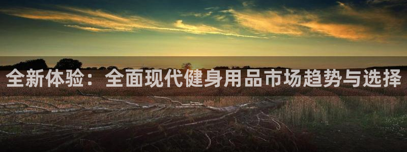 征途国际招商电话号码查询是多少：全新体验：全面现代健