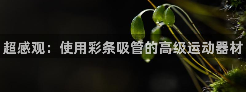 征途国际招商电话号码查询：超感观：使用彩条吸管的高级
