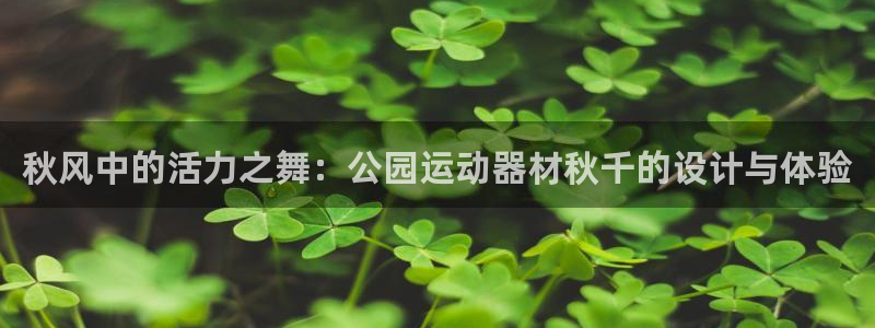 征途国际新能源：秋风中的活力之舞：公园运动器材秋千的