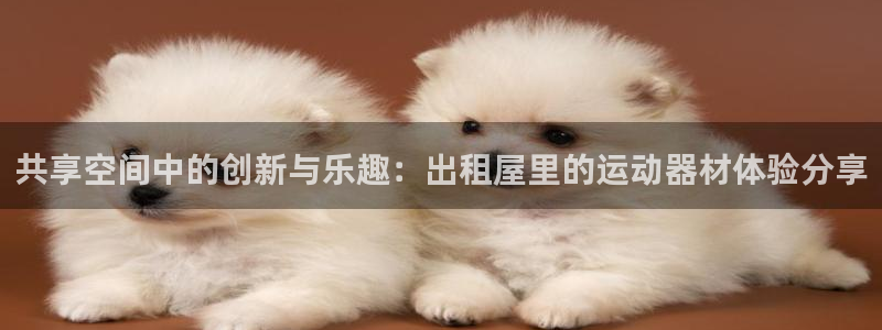 征途国际集团：共享空间中的创新与乐趣：出租屋里的运动