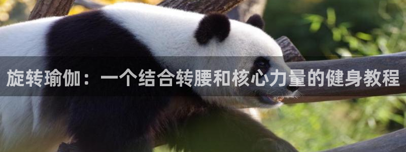 征途国际平台是正规平台吗知乎：旋转瑜伽：一个结合转腰